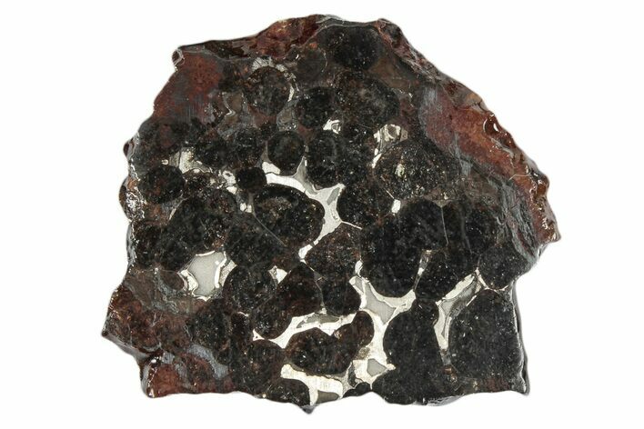 Sericho Pallasite Meteorite ( g) Slice - Kenya #346462